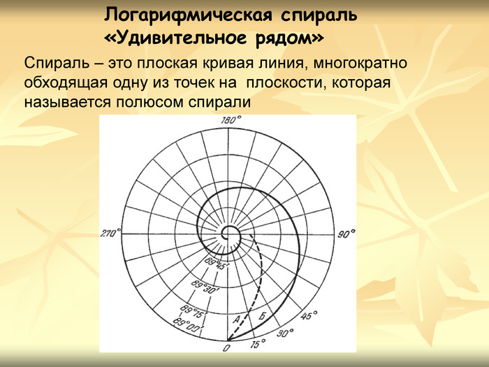 Логарифмическая спираль презентация