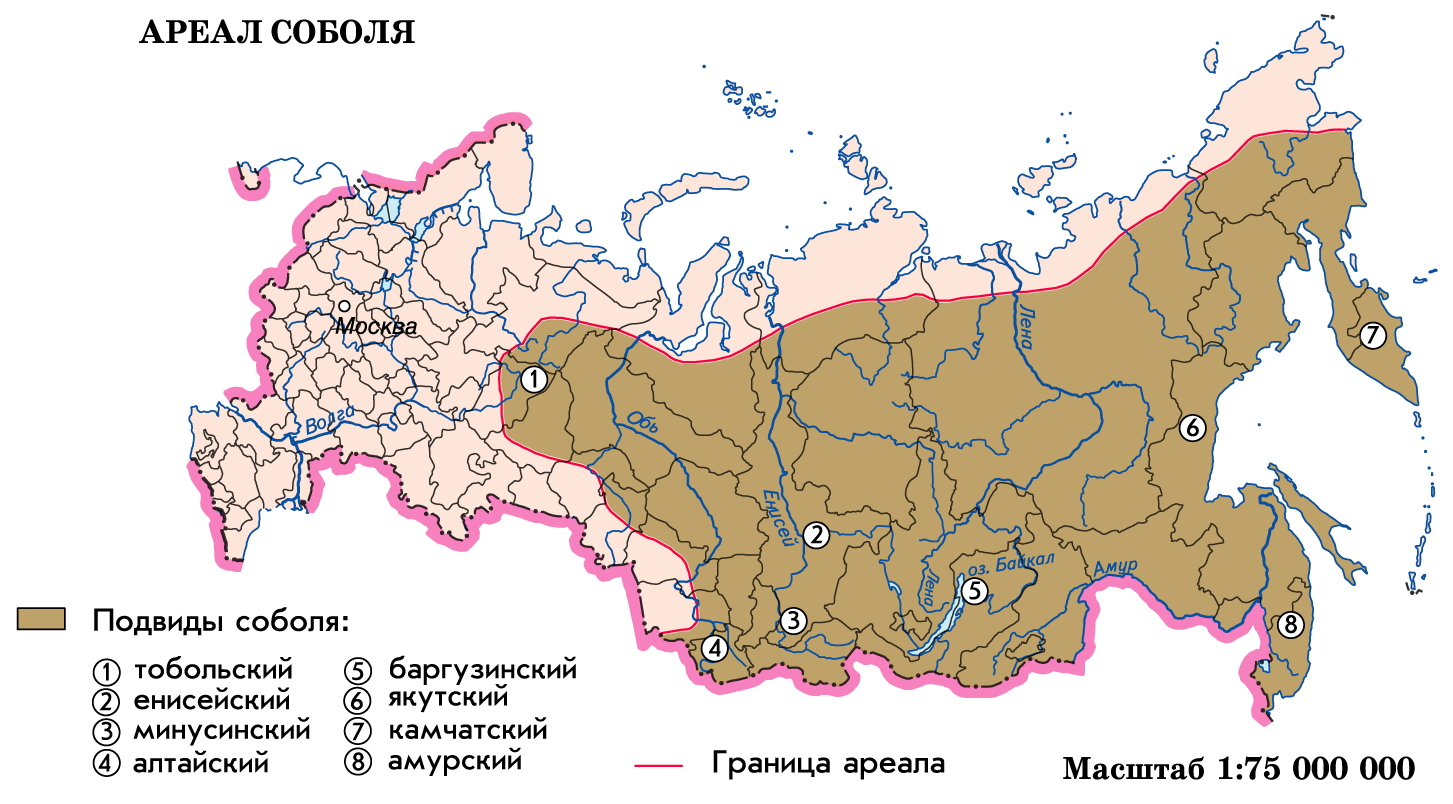 Ареал распространения оленьих пастбищ проведите границу