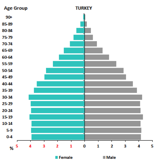 Демографическая пирамида. Возрастно половая пирамида Турции. Турция Половозрастная пирамида населения. Половозрастная пирамида Турции 2020. Половозрастная пирамида Турции 2021.