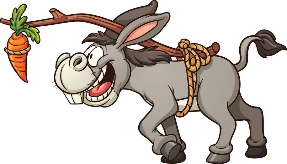 donkey_carrot.jpg @ www.ngl-snep.eu ÐºÐµÑˆ.