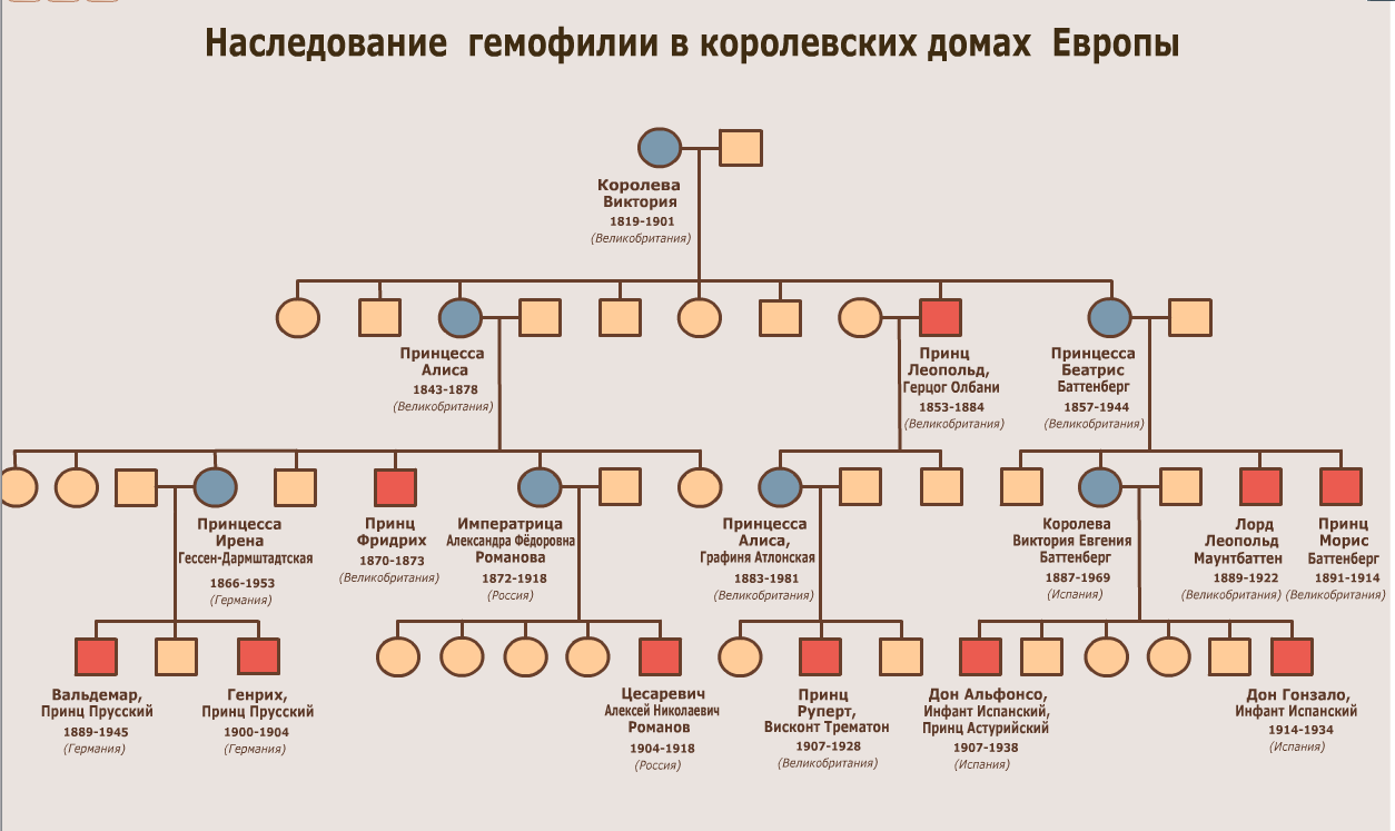 Родственные связи древо схема