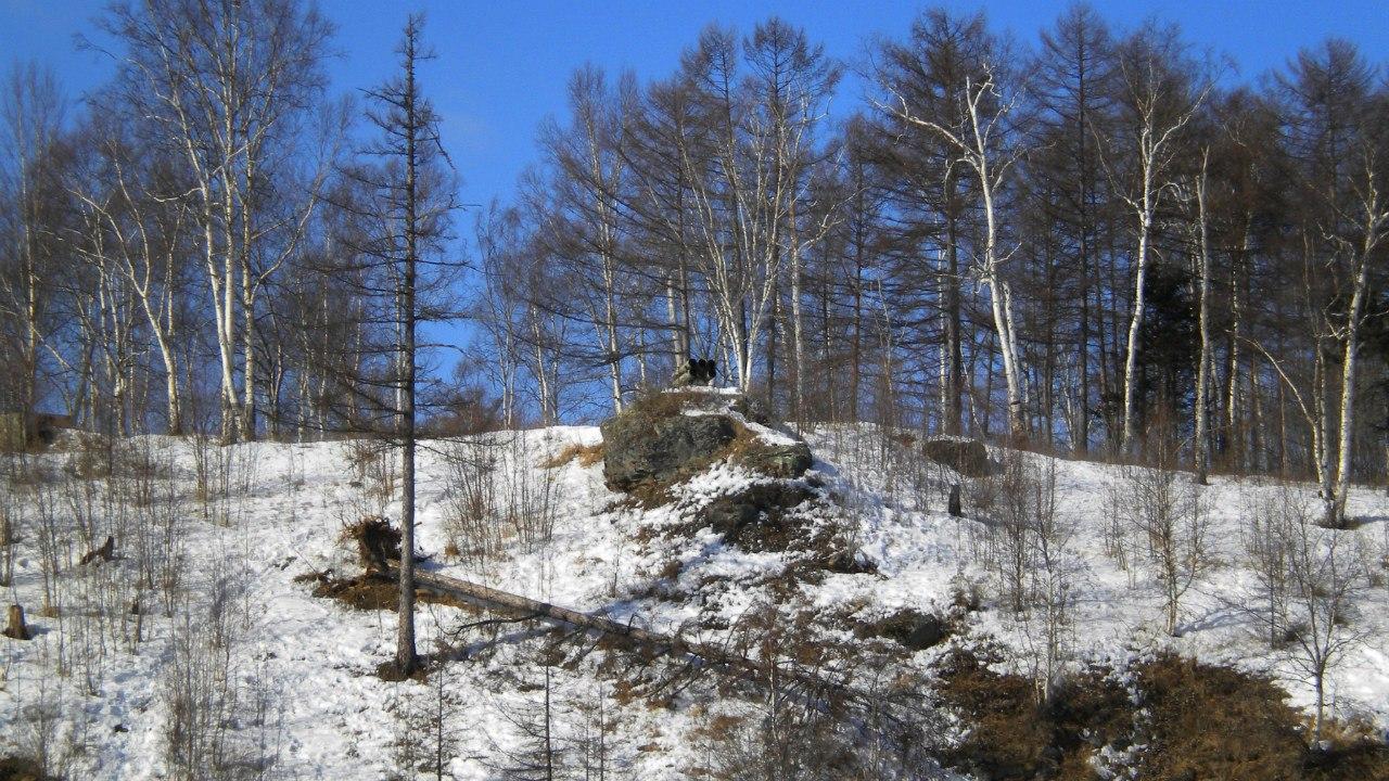 Поселок Заветы Ильича Хабаровский Край Фото