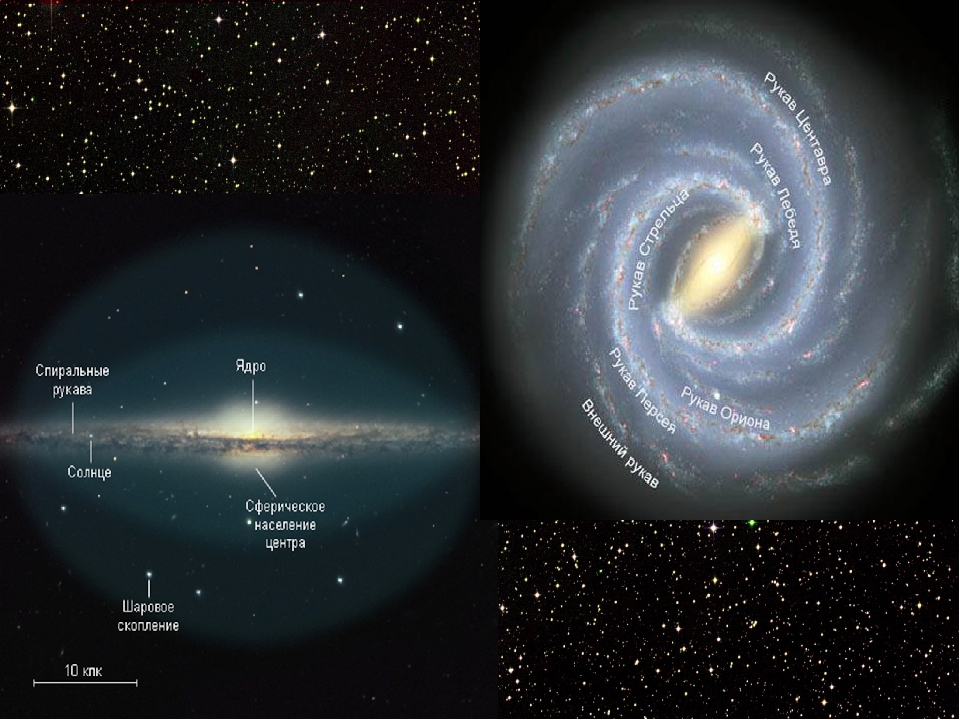 Сколько звезд в галактике млечный. Галактика Млечный путь вид сверху и сбоку. Строение Галактики Млечный путь рукава. Галактика Млечный путь рукав Ориона. Галактика Млечный путь Солнечная система.
