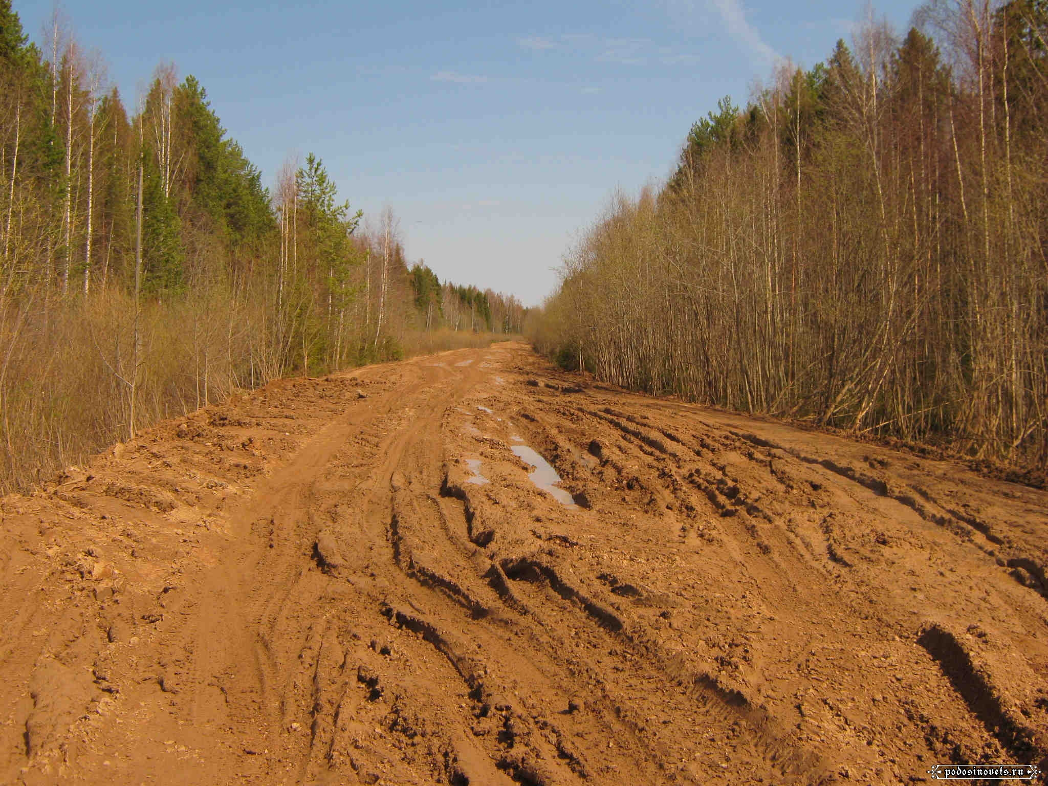 Погода утманово кировская. Ровдино Кировская область.